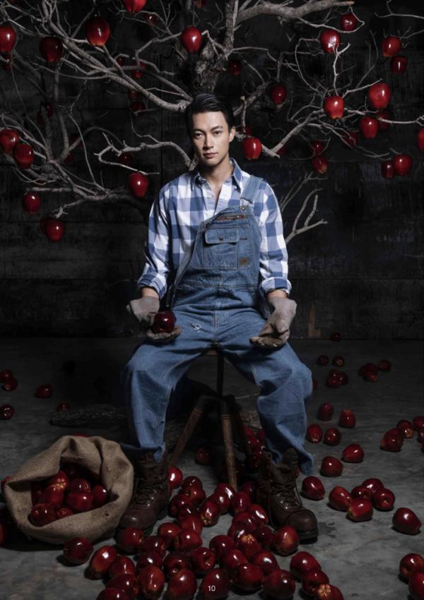 XPERIMENT-16--The-Apple-Picker